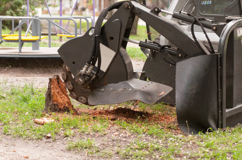 Stump Removal - Salient Landscaping