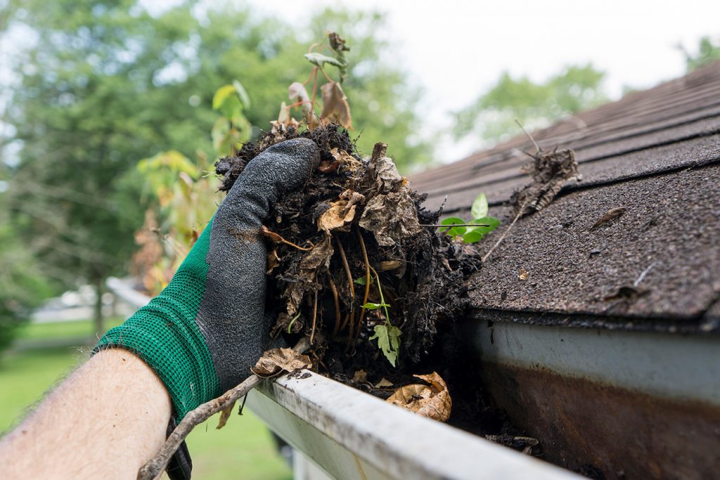 Salient Landscaping Fall Clean Up