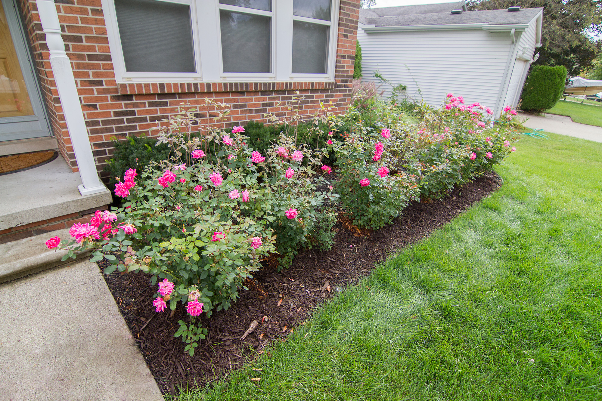 Gardening and Weeding - Salient Landscaping | Residential and ...